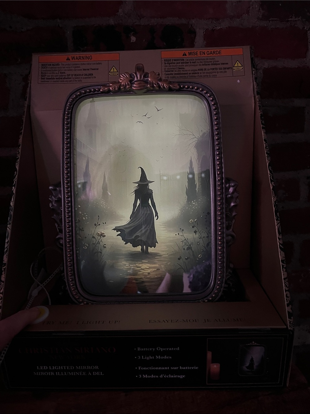 Christian Siriano Witch Illustration LED picture and mirror Cover —